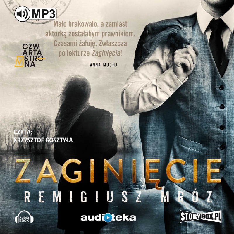 audiobook - Zaginięcie - Remigiusz Mróz